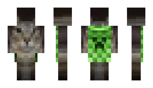 Minecraft skin xLove2137