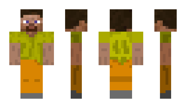 Minecraft skin 54x