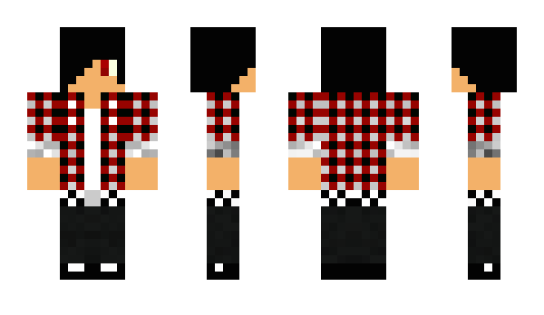 Minecraft skin Dominowy
