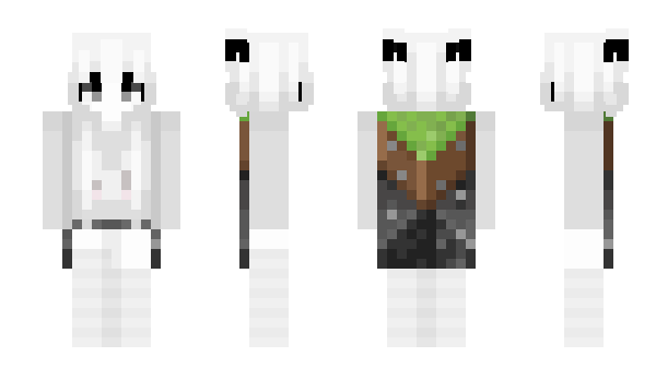 Minecraft скин по нику 6126