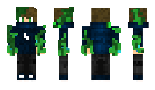 Minecraft skin _Evy