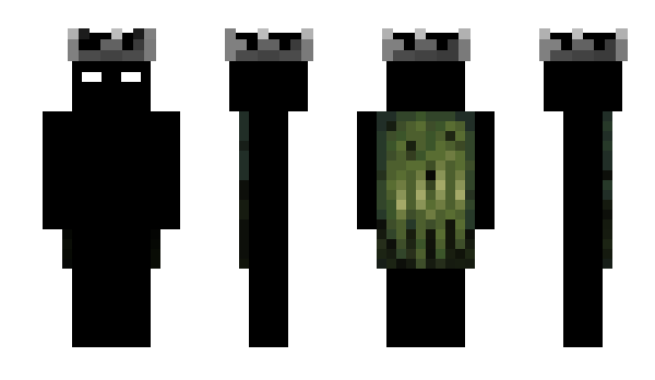 Minecraft skin ViserMC