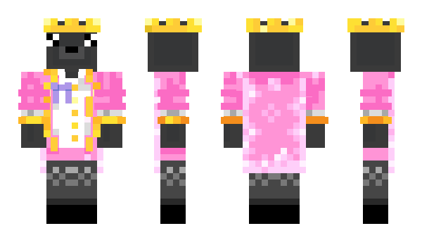 Minecraft skin SealKingg