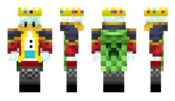 Minecraft skin DUCTER