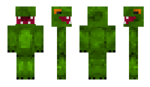 Minecraft skin mr_cactus