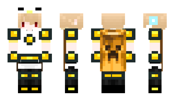 Minecraft skin EaglePB2
