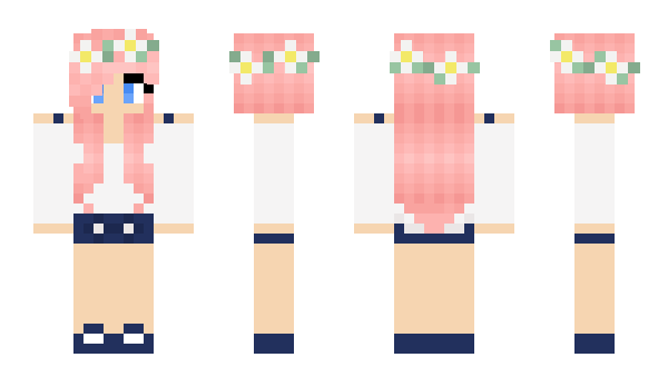 Minecraft skin vensar