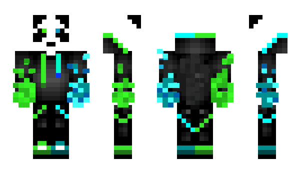 Minecraft skin Pintch