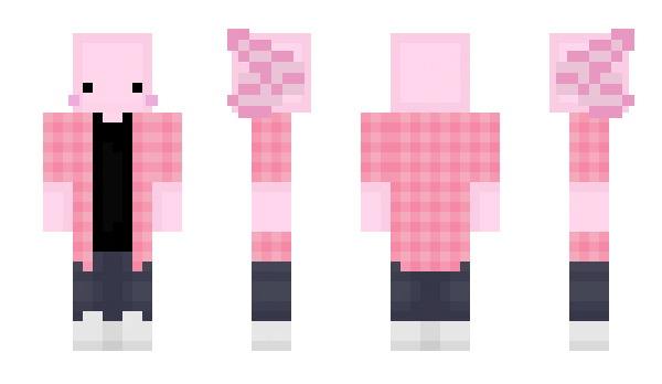 Minecraft skin Axolotlpl