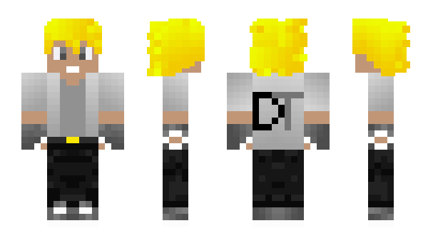 Minecraft skin Akiinaro_