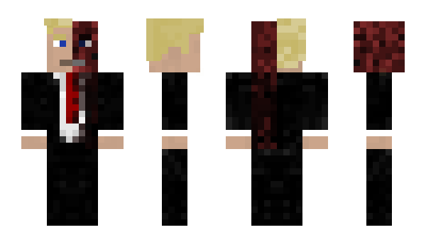 Minecraft skin asasin1313