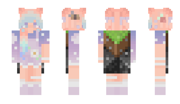 Minecraft skin Flaweyy