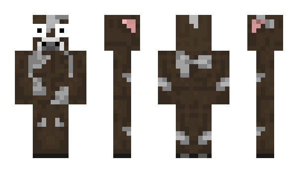 Minecraft skin AstraKhan