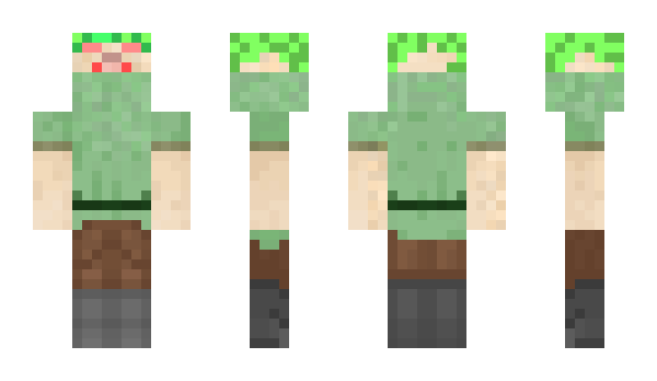 Minecraft skin Melowoo