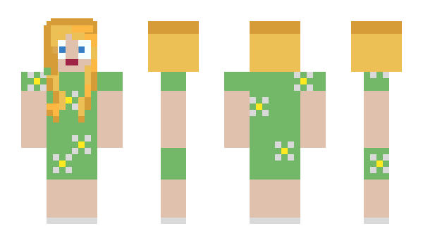 Minecraft skin LesX