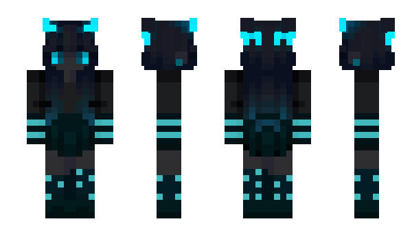 Minecraft skin skiwebs