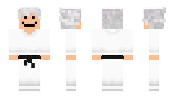 Minecraft skin 14535