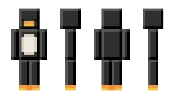Minecraft skin NPC_Companion