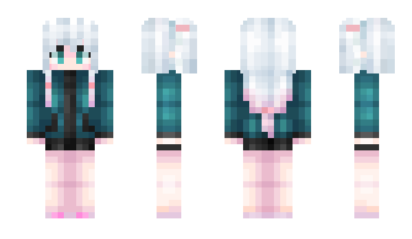 Minecraft skin tttct