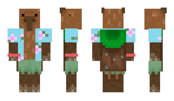 Minecraft skin Kapyb4ra