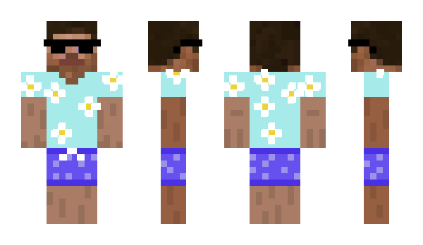 Minecraft skin PSPPS