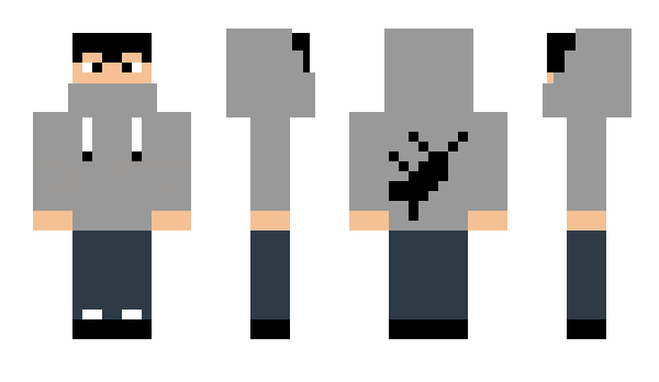 Minecraft skin Eyewear