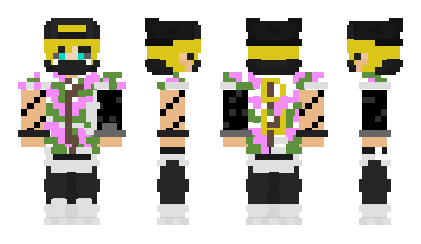 Minecraft skin DenkiSF