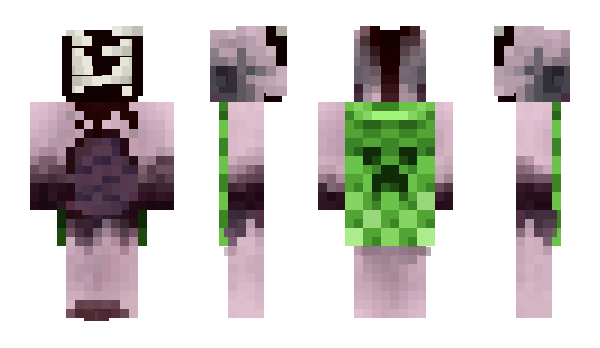 Minecraft skin UsbC