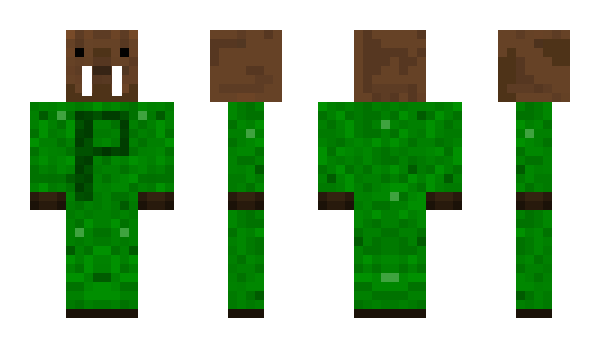 Minecraft skin 12mophead