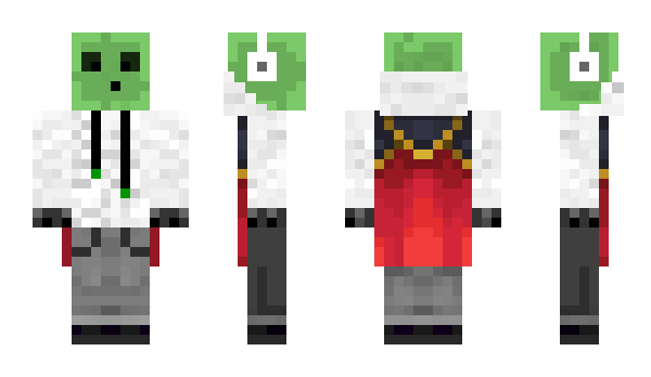 Minecraft skin RobbiRobb