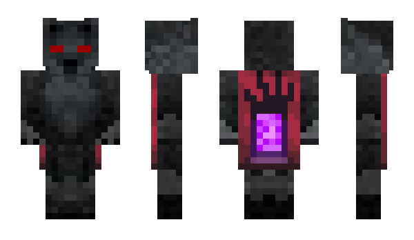 Minecraft skin duffty