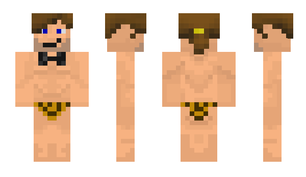 Minecraft skin SP1C