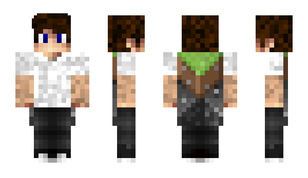 Minecraft skin Freeeezy