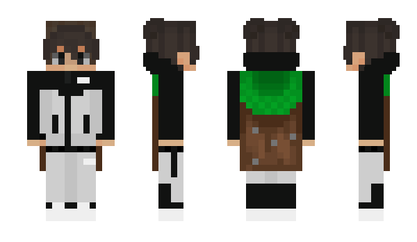 Minecraft skin ELCR