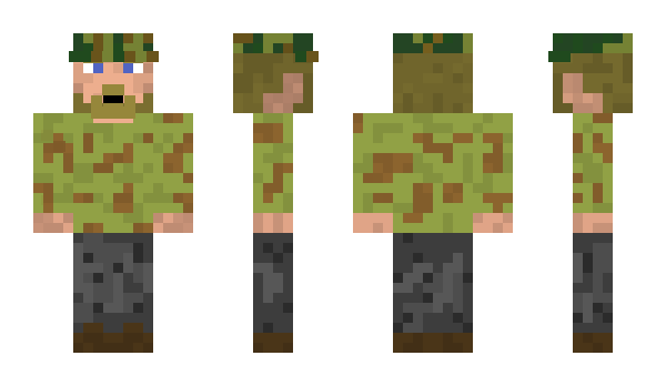 Minecraft skin Folksturm