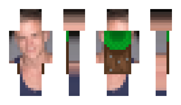 Minecraft skin trezorwallet
