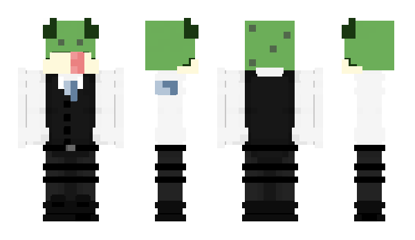 Minecraft skin BoadToady