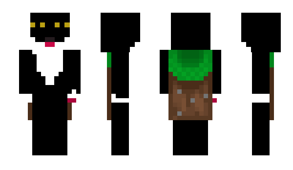 Minecraft скин по нику Piernikk