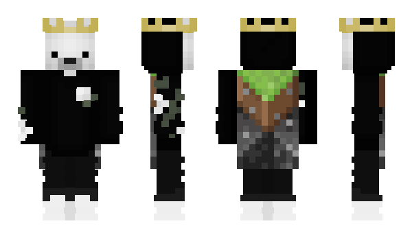 Minecraft skin hs_v