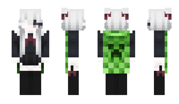 Minecraft skin HypixelCastle