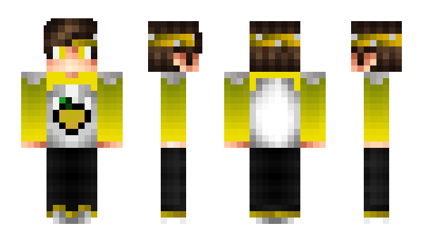 Minecraft skin DOCTOMUSA