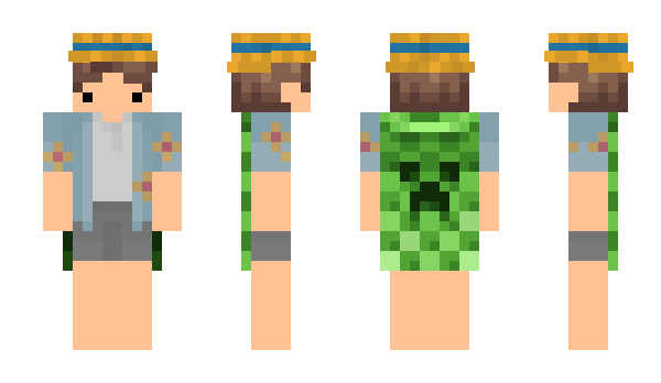 Minecraft skin amonikl