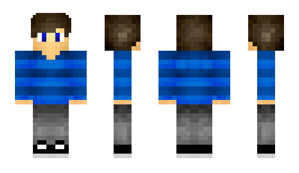 Minecraft skin LePerou_