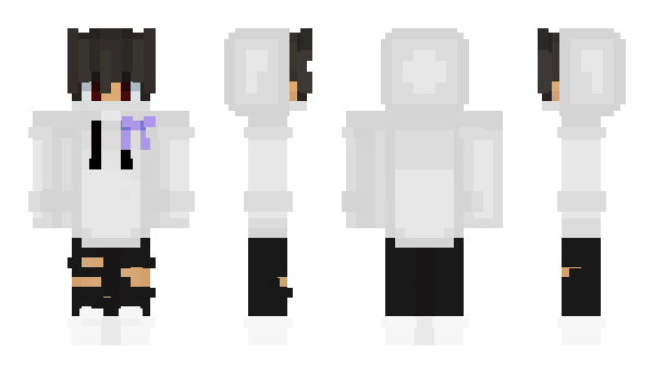 Minecraft skin rokutis