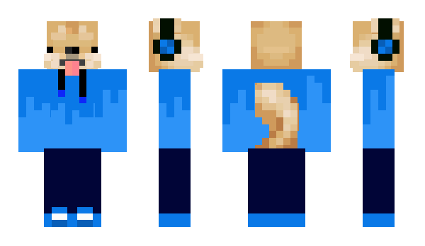 Minecraft skin Creeperrich