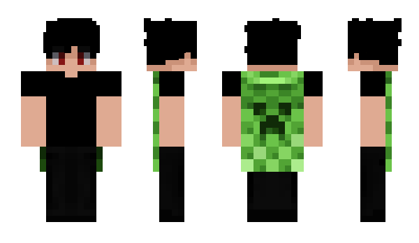 Minecraft skin regiiert