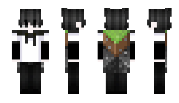 Minecraft skin delwe00