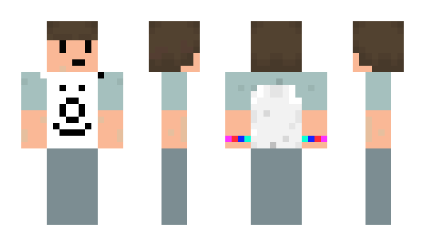 Minecraft skin Palkom