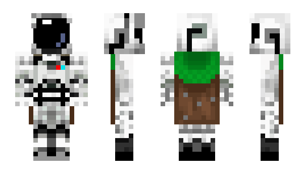 Minecraft skin STATYC_