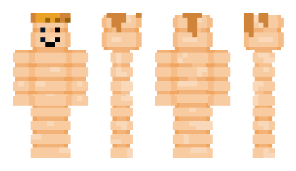 Minecraft skin V1_v